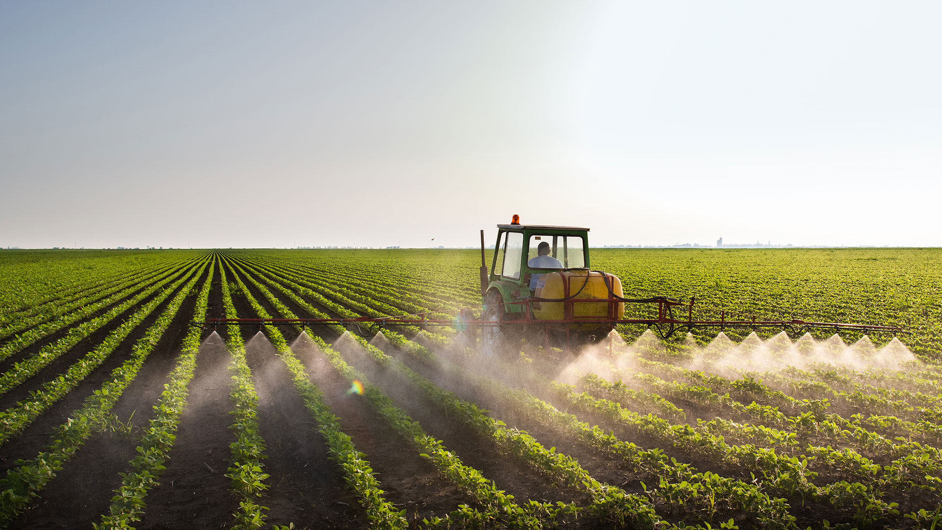 „FarmtoFork“Strategie der EU Neue Auflagen für Landwirte AgrarTrends
