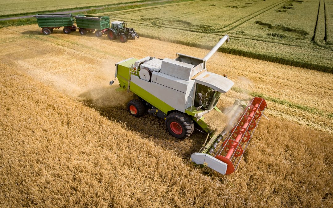 Erntebilanz: Wie war die Ernte in Deutschland?